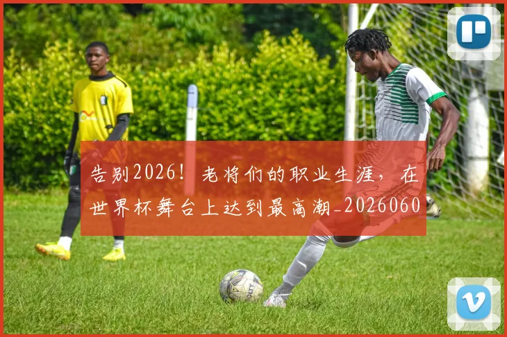 告别2026!老将们的职业生涯,在世界杯舞台上达到最高潮_20260602212838