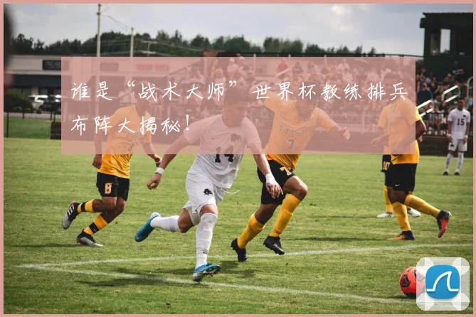 谁是“战术大师”世界杯教练排兵布阵大揭秘！