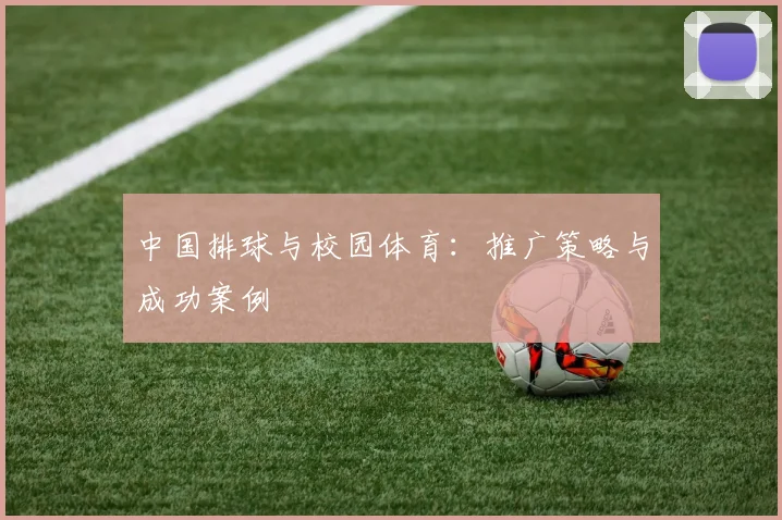 中国排球与校园体育：推广策略与成功案例
